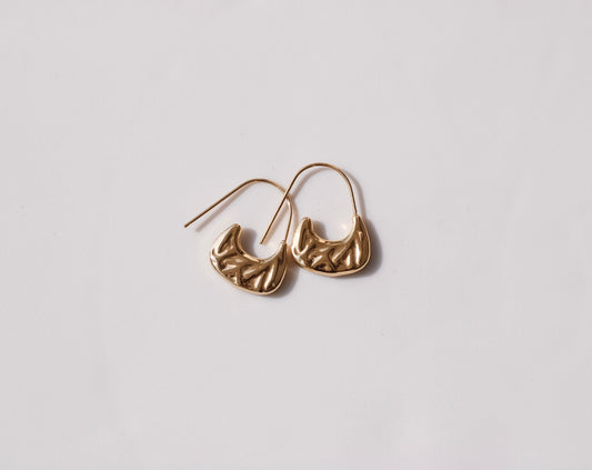 Pin Earrings